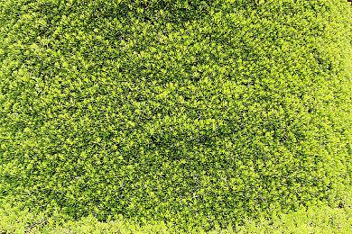 《小小大星球》开发商Media Molecule计划裁员20人